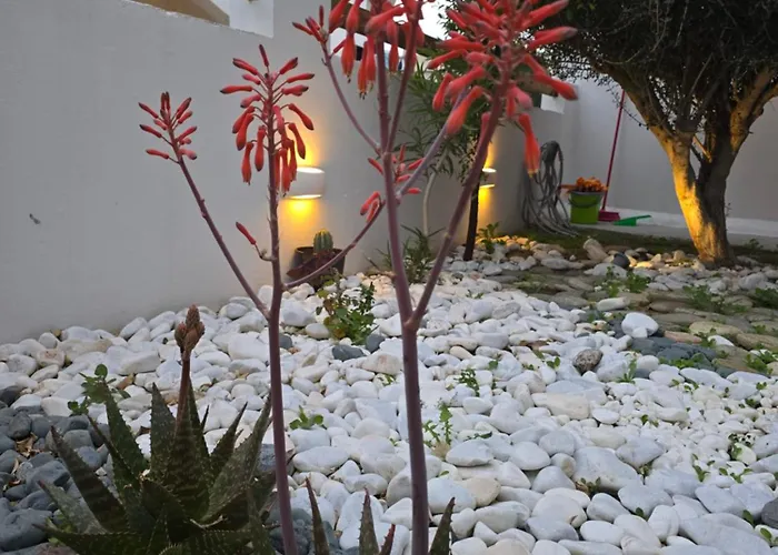 The Garden House