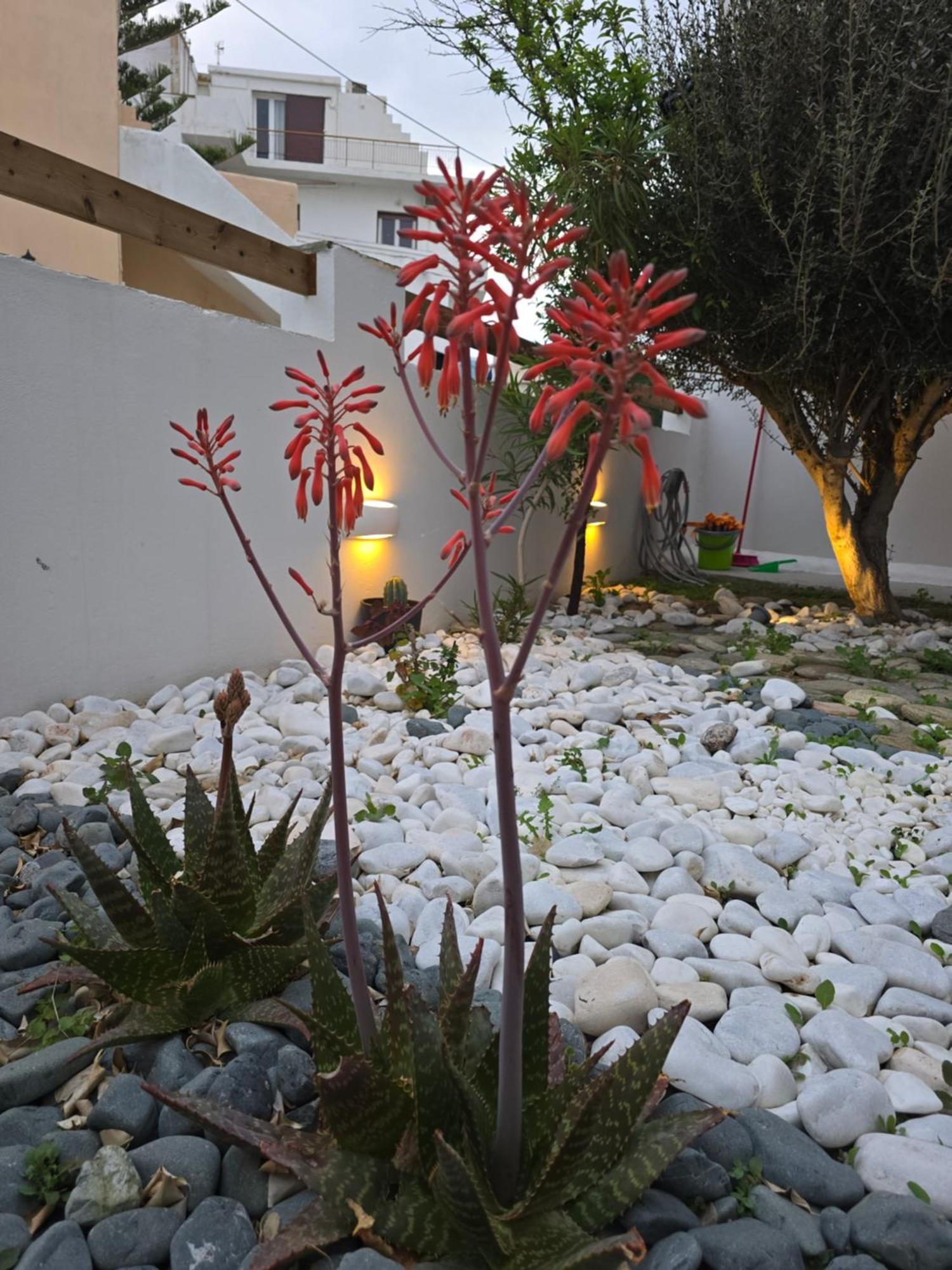 Сasa de vacaciones The Garden House *